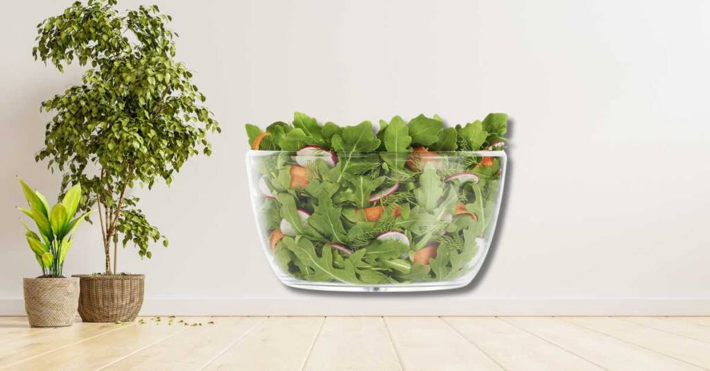 oxo salad spinner 3